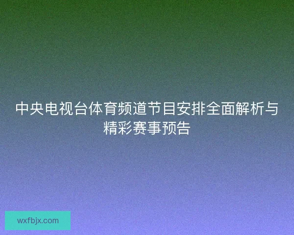中央电视台体育频道节目安排全面解析与精彩赛事预告