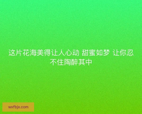 这片花海美得让人心动 甜蜜如梦 让你忍不住陶醉其中 这片花海美得让人心动 甜蜜如梦 让你忍不住陶醉其中