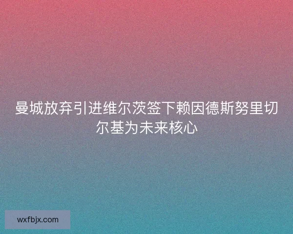 曼城放弃引进维尔茨签下赖因德斯努里切尔基为未来核心